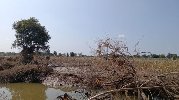 Barren lands (Photo by Manoj More )