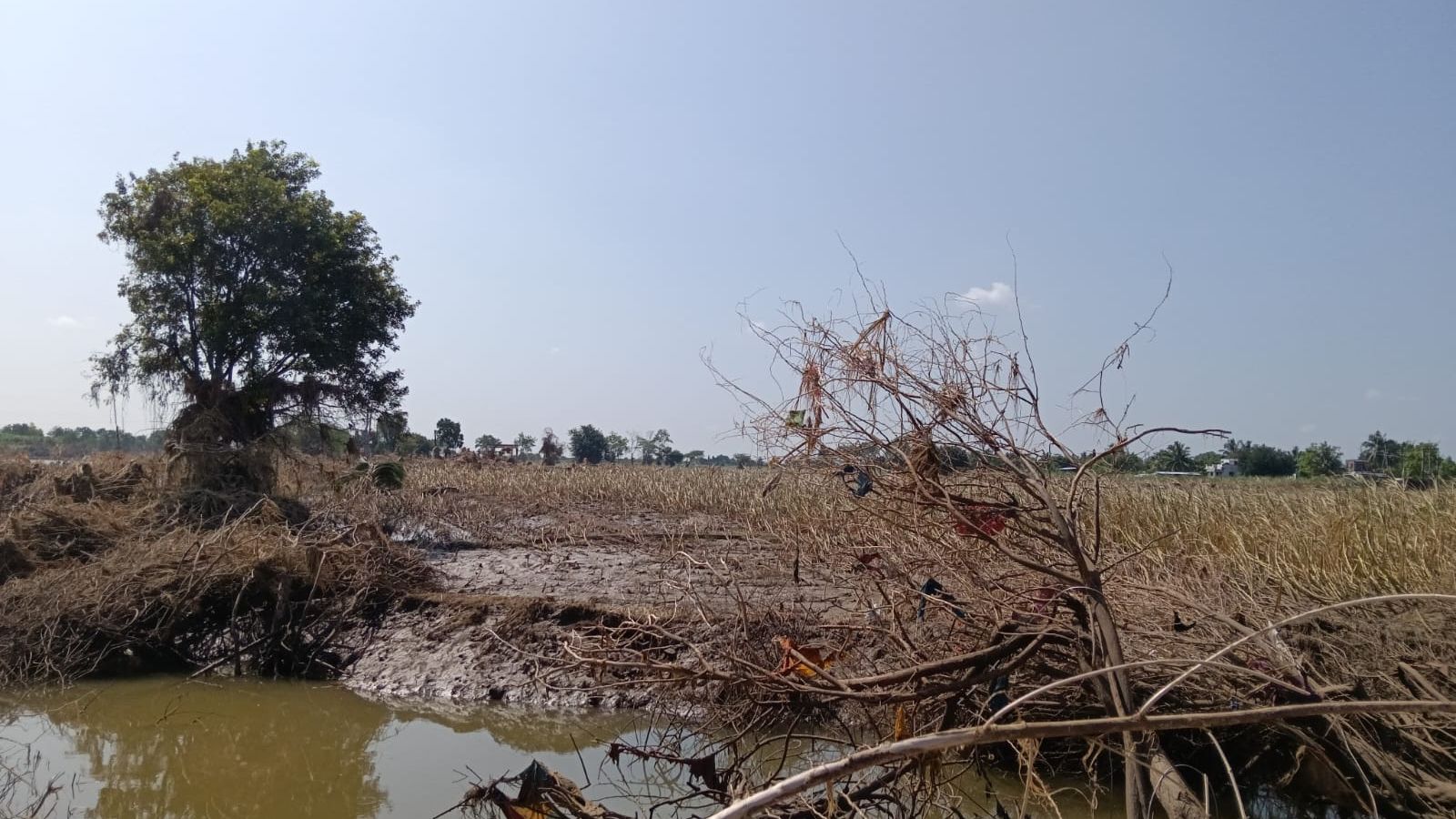 Bonn Challenge India report, land restoration India 2020, degraded land restoration, India afforestation efforts, Bonn Challenge, Indian express news, Environment ministry