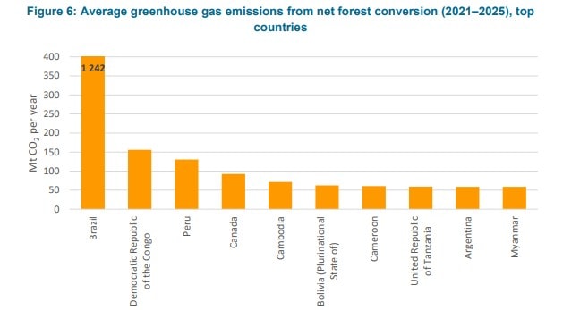 The top 10 countries by average greenhouse gas emissions from net forest conversion (2021–2025)