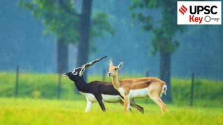 UPSC Key: Blackbucks, Rangarajan Line, and Gold ETF