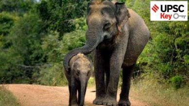 UPSC Key: Elephant conservation in India, Swadeshi, and Chandrayaan-2