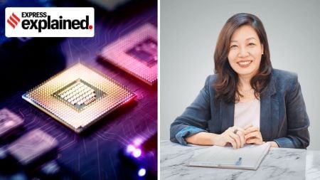 Semiconductor chips