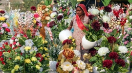 Punjab and Chandigarh residents can enjoy a festive streak of long weekends from October to December.