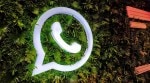It looks like WhatsApp is trying out different limits in different countries.
