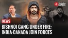 India, Canada Discuss Security Cooperation Amid Bishnoi Gang Concerns