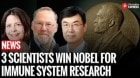 Mary Brunkow, Fred Ramsdell & Shimon Sakaguchi Awarded 2025 Nobel Prize in Medicine