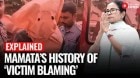 EXPLAINED: Deflection Over Duty: The Mamata Banerjee Playbook of Victim Blaming
