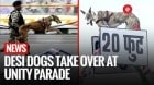 Indigenous Dog Breeds Steal The Show At Rashtriya Ekta Diwas Parade In Gujarat