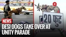 Indigenous Dog Breeds Steal The Show At Rashtriya Ekta Diwas Parade In Gujarat