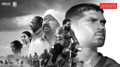 Bison Day 5 Box Office Report