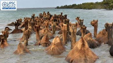 UPSC Weekly Current Affairs Quiz | October 05 to October 11, 2025