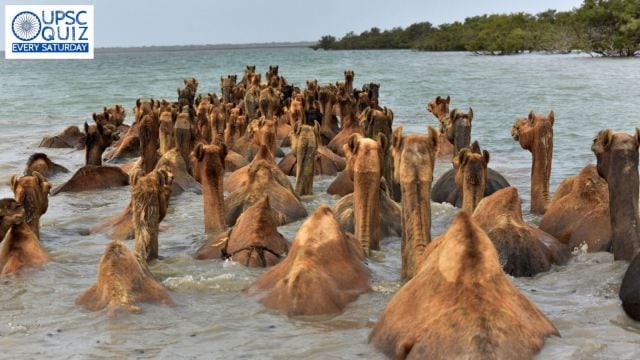 UPSC Weekly Current Affairs Quiz | October 05 to October 11, 2025