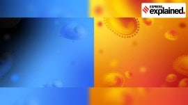 cancer googlemind Expert Explains, cancer cells, Cancer, detect cancer, cancer treatment, Shekoofeh Azizi, Indian express explained, explained news, current affairs