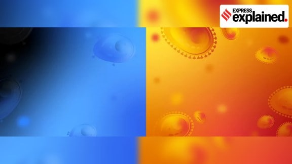 Expert Explains, cancer cells, Cancer, detect cancer, cancer treatment, Shekoofeh Azizi, Indian express explained, explained news, current affairs