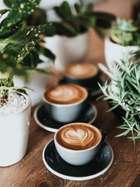 coffee