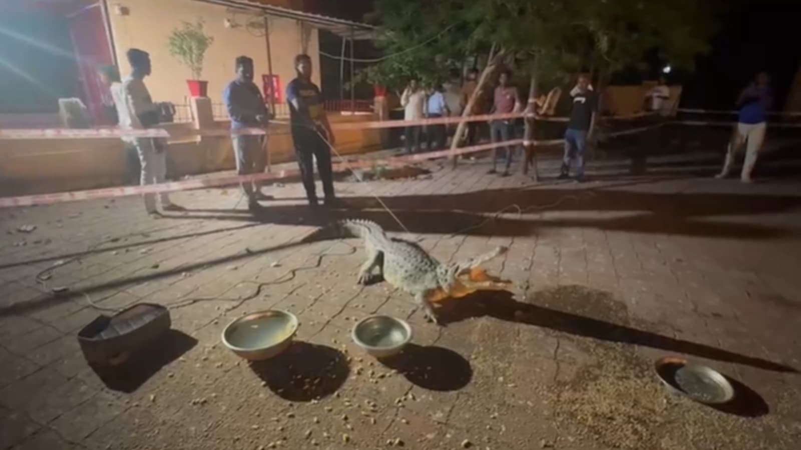 Crocodile creates panic in Vadodara’s Gajrawadi area, rescued