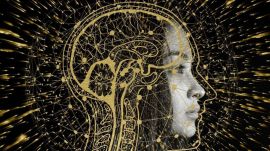 deepfake, instagram, women's dignity,