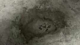 dinosaur footprints in oxfordshire