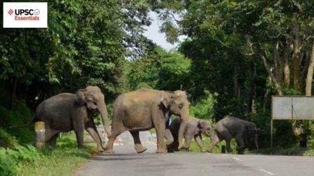 UPSC Essentials | Daily subject-wise quiz : Environment and Geography (Week 132)