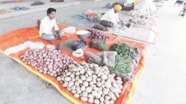 fruit n vegetable market PUDA