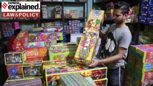 Why SC has allowed green crackers in Delhi-NCR and what the order says