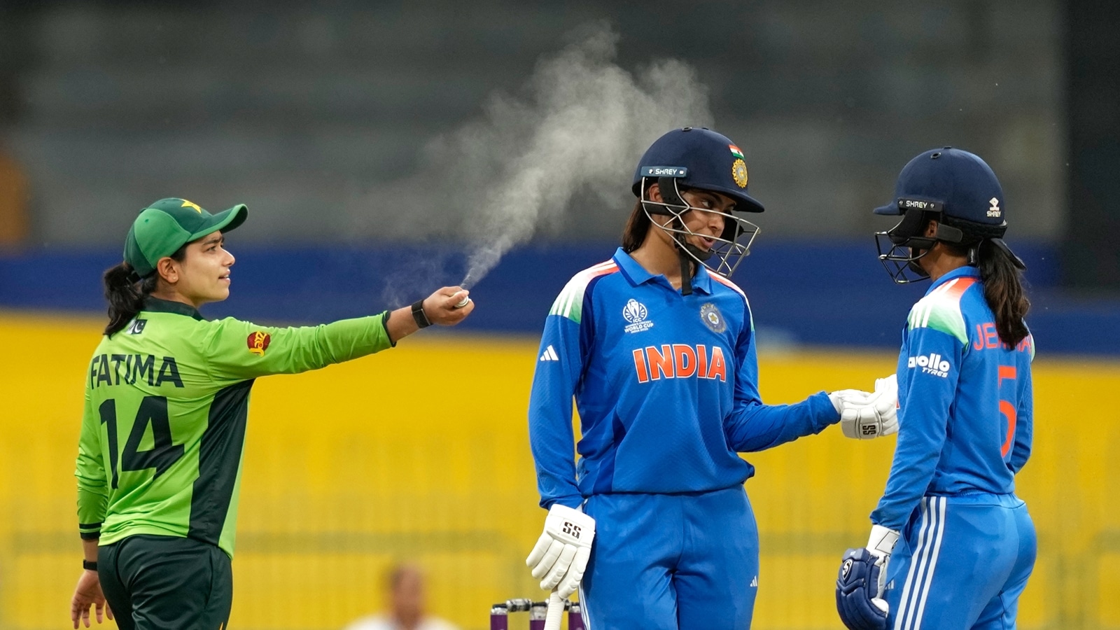 A substitute fielder then ran onto the field with a bug spray, leading to some comical scenes as Sana walked around spraying the air. (AP Photo)