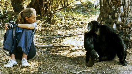 Jane Goodall’s legacy is one of deep conviction and unshakeable hope