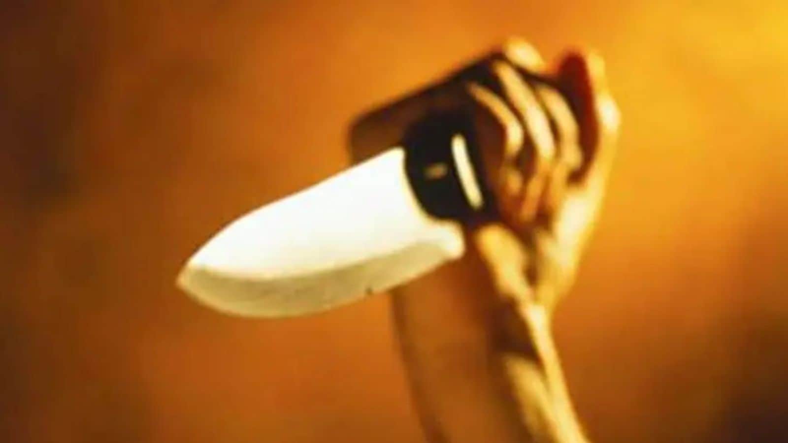 Three men held for stabbing woman to death, injuring friend in Northwest Delhi