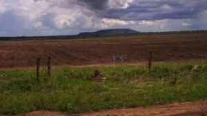 Launch portal to keep records of allotted lands for people’s access: Information Commission to govt