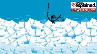 An execution petition is the legal tool used to implement a decree. It is the final and most crucial stage of a lawsuit.