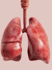 8 habits to keep your lungs strong and healthy