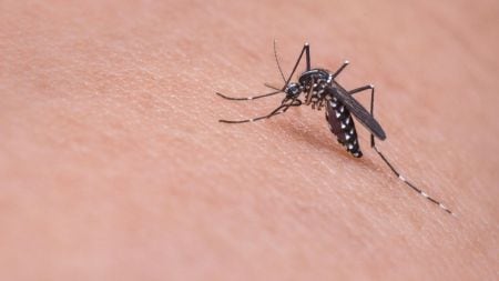 While 14 new cases of Chikungunya were reported last week, 60 new Malaria cases were registered over the same period.