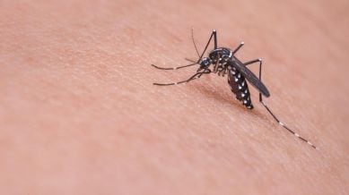 While 14 new cases of Chikungunya were reported last week, 60 new Malaria cases were registered over the same period.
