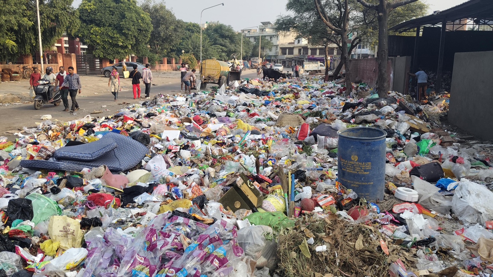 Mohali Chokes Under Garbage Crisis, Mayor Blames Govt Negligence