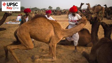 upsc, national camel mission,