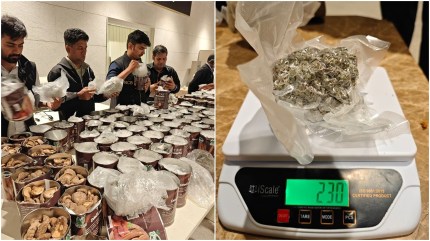 drug seizure