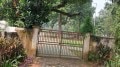The City and I | Every Bihari child knows exile. And yet, we bloom in borrowed soil