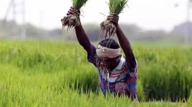 PM Kisan Yojana 2025: Check the 21st installment date, how to verify beneficiary status, link your mobile number, and update Aadhaar online.