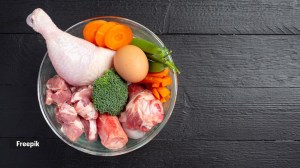 protein