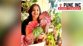 aishwarya vishwanath, caladium, pune,