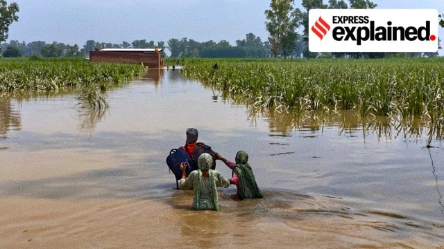 punjab-flood-2