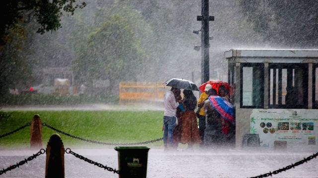 delhi