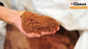 rare earths