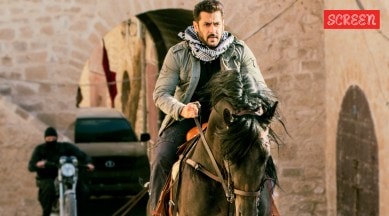 salman khan horse