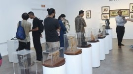 Triveni Kala Sangam, sculpture exhibition, M F Husain, Shridharani gallery, Shridharani gallery at Triveni Kala Sangam, delhi news, India news, Indian express, current affairs