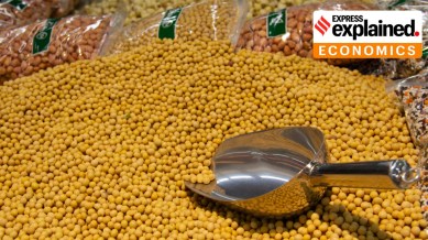 India farm sector: Soyabean is an illustrative example of a crop exhibiting bearish price sentiment despite not-so-good production.