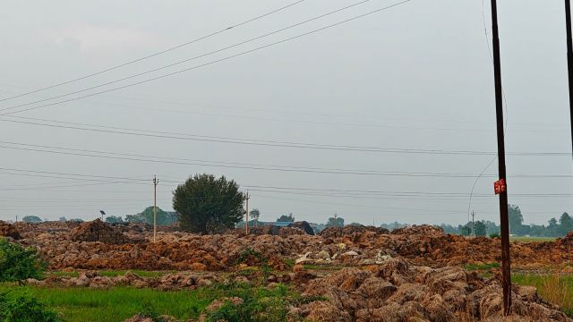 Paddy stubble lying in open on Patiala- Sirhind road for more than a year (Express pics by Raakhi Jagga)