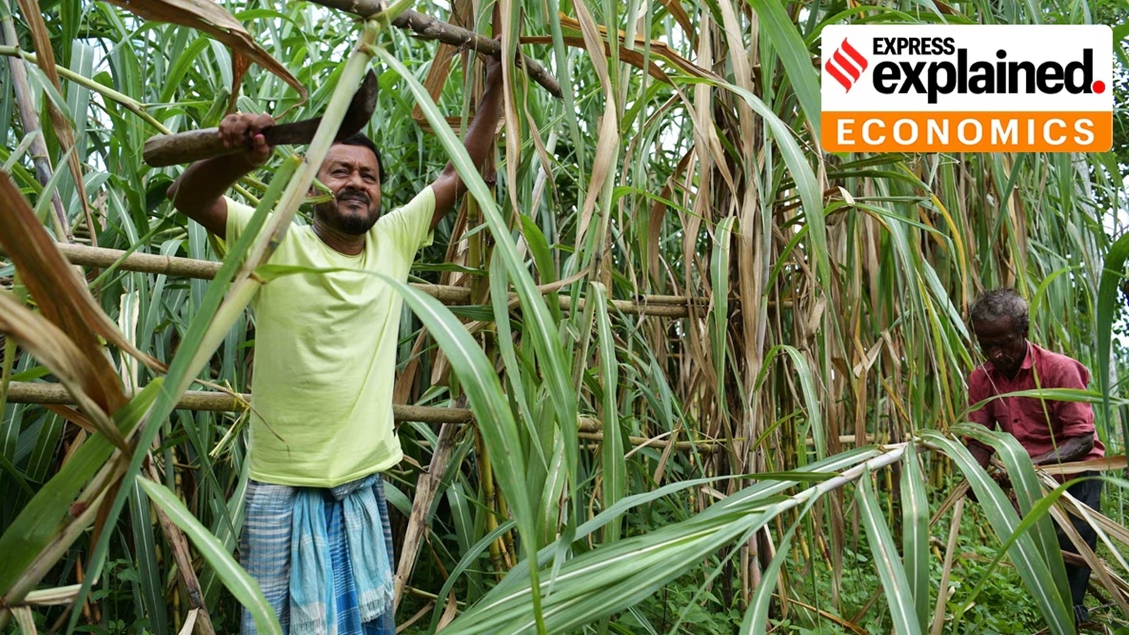 The grain of ethanol production