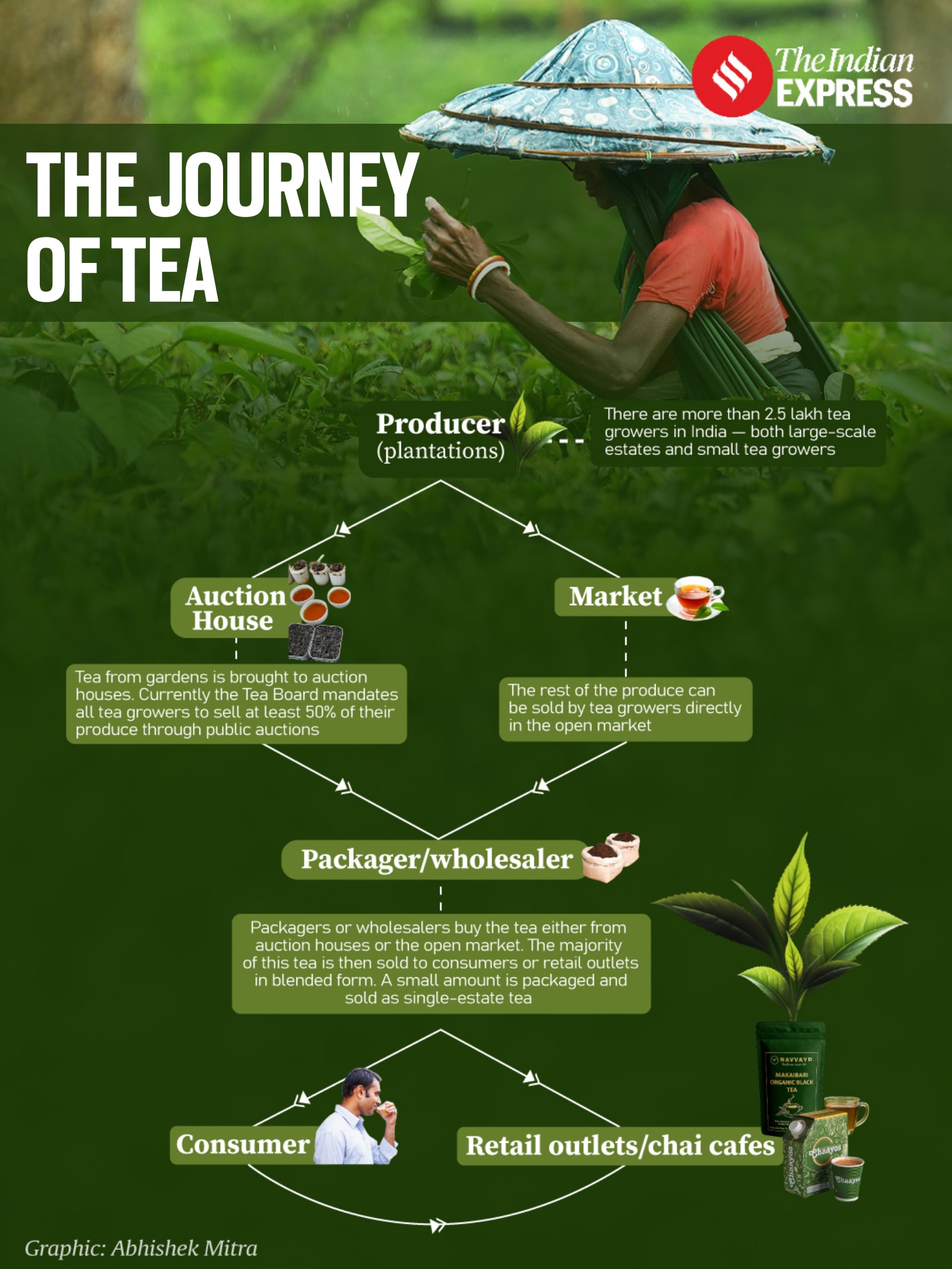 journey of tea
