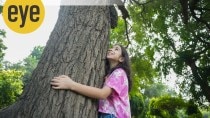 A tree can only be as strong as the forest that surrounds it